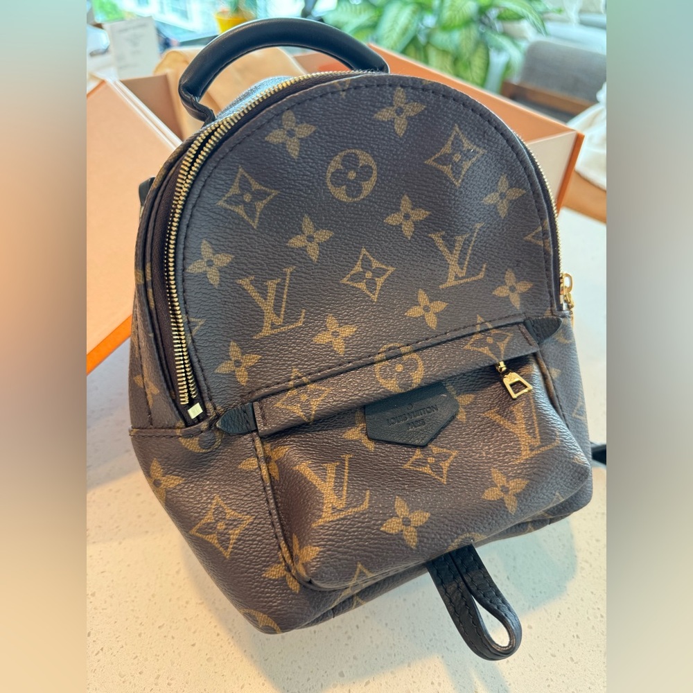 Louis Vuitton Palm Springs Monogram Backpack
Crossbody bag